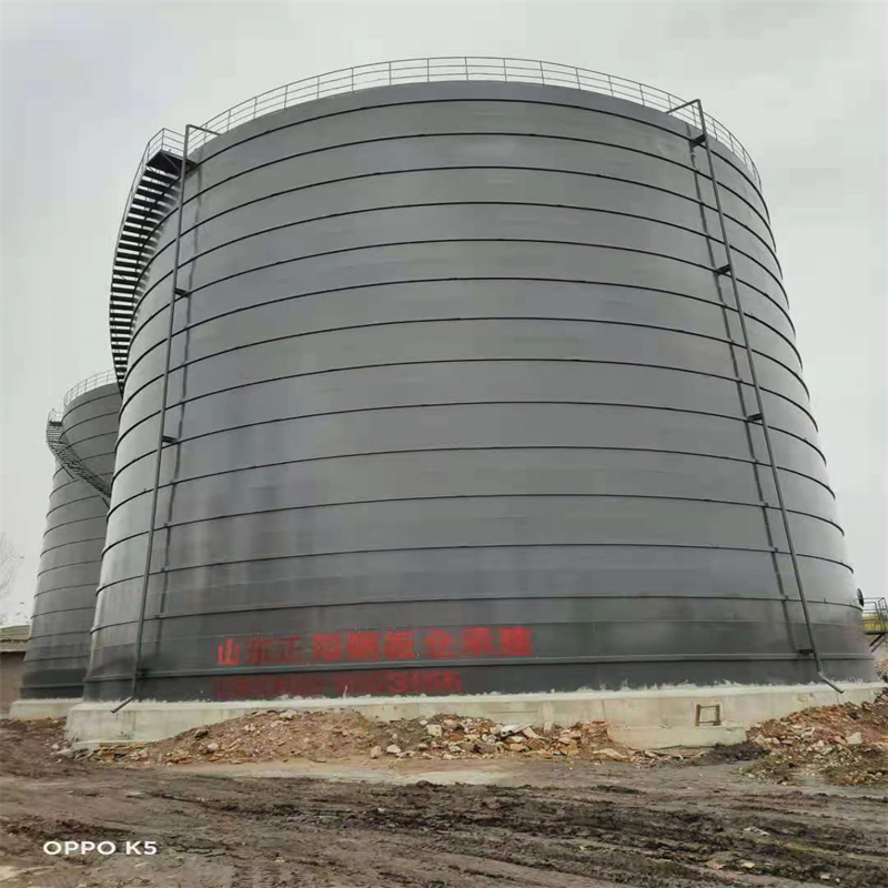 桂平3万吨大型钢板库